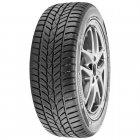 Hankook Winter i*cept RS (W442) 